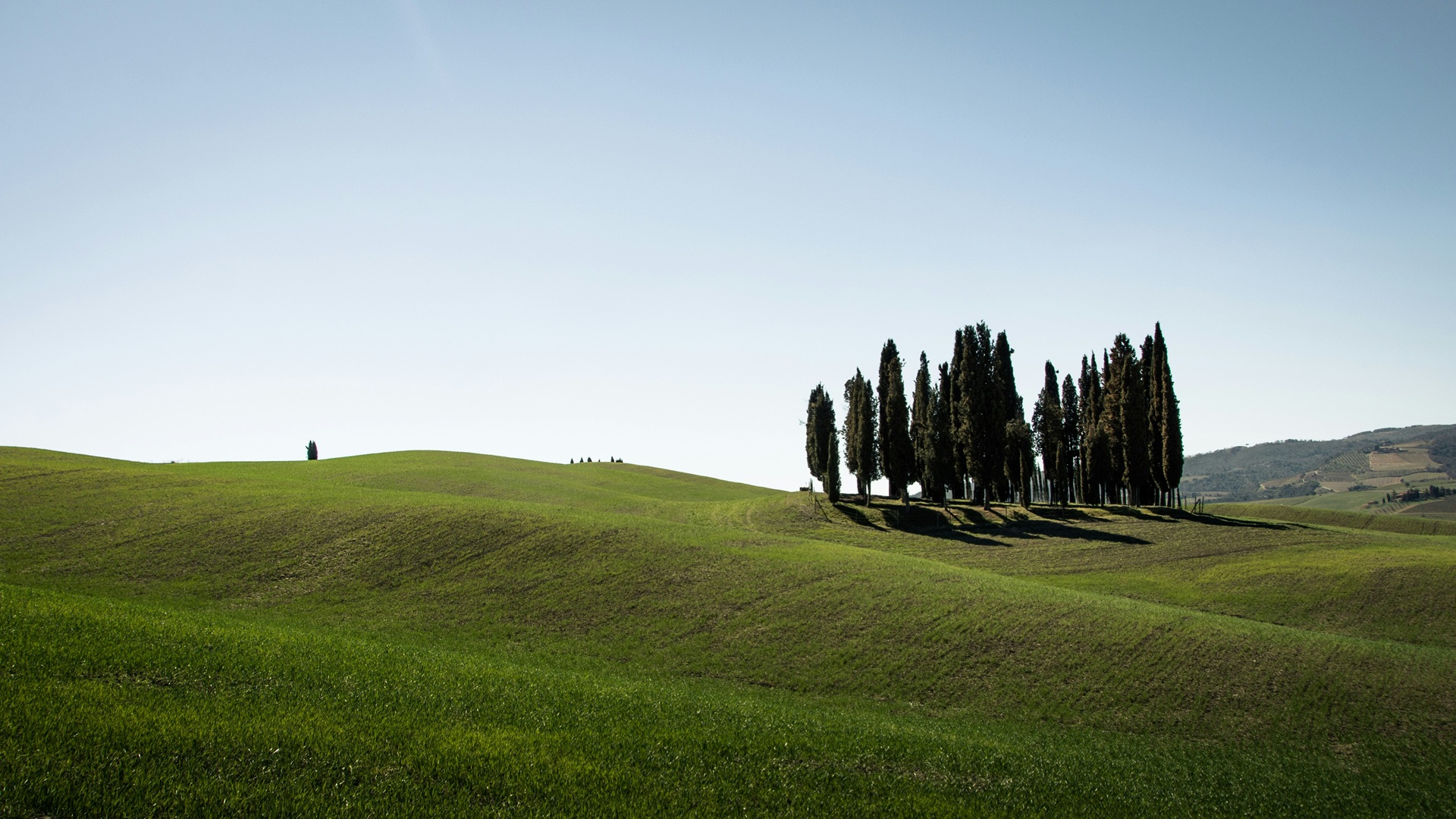 montalcino panorama